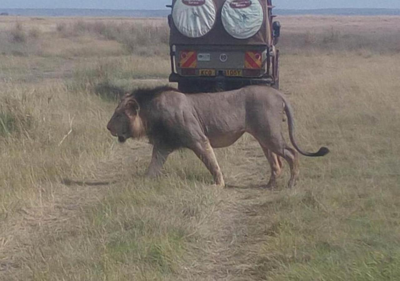 Aa Lodge Maasai Mara Talek Luaran gambar