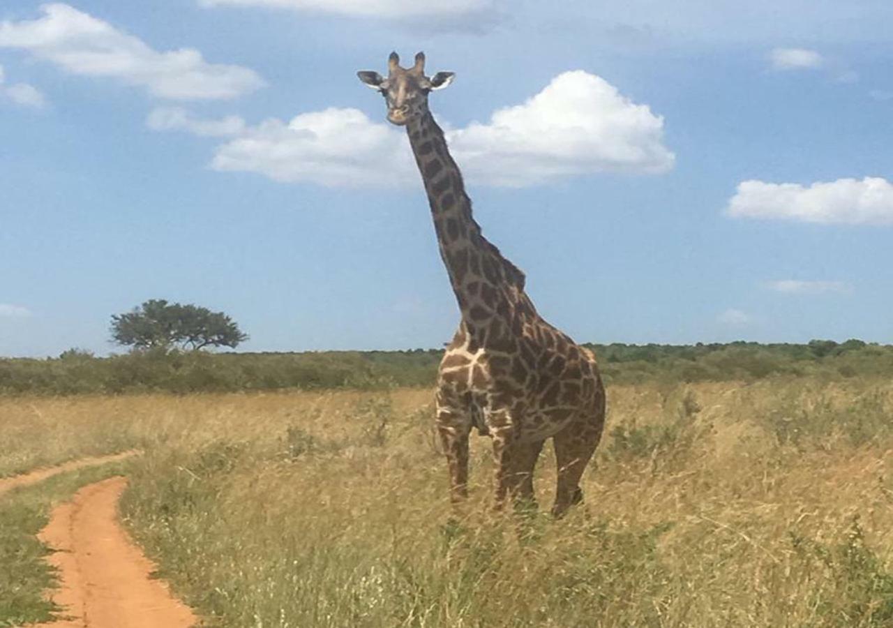 Aa Lodge Maasai Mara Talek Luaran gambar